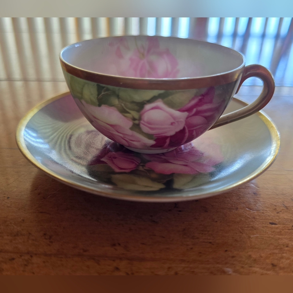 Vintage Thomas Bavaria porcelain teacup and saucer set